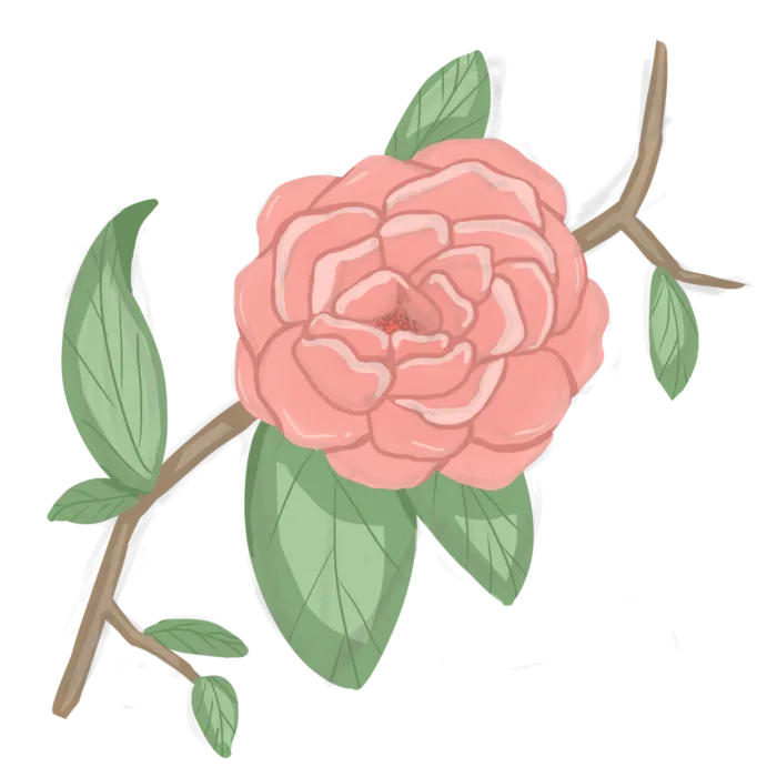 鲜花玫瑰免扣素材