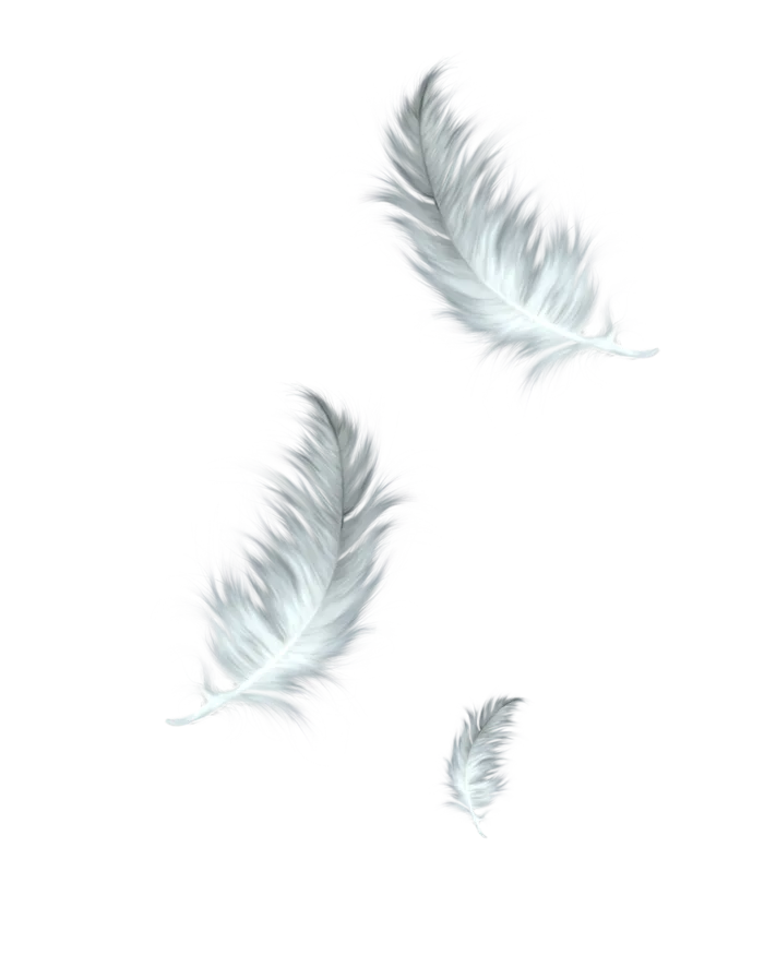 羽毛飞舞轻盈