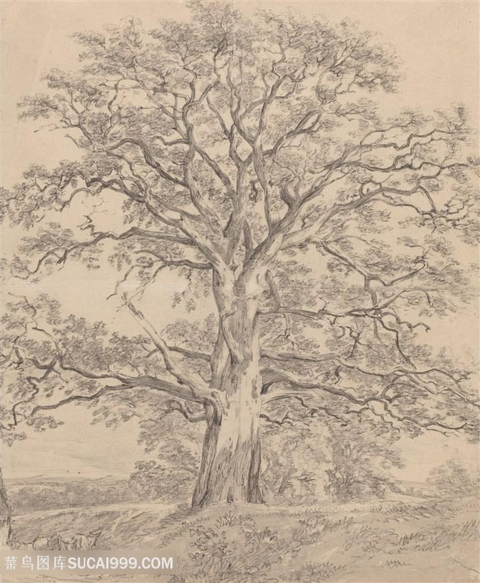 康斯坦布尔手绘大叔美景装饰画