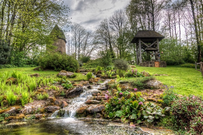 树林中美丽的小溪摄影