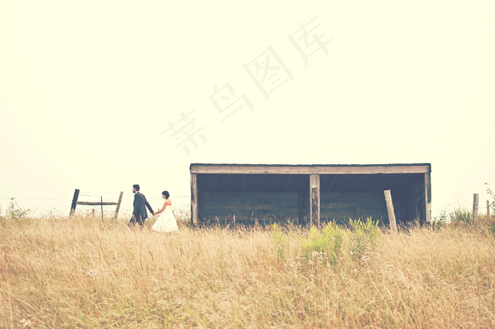 欧美意境婚纱图片