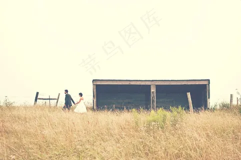 欧美意境婚纱图片