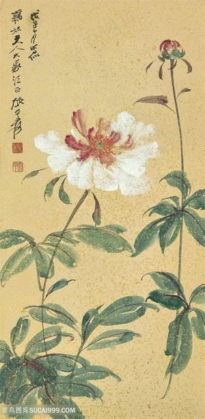 张大千手绘唯美花卉复古插画