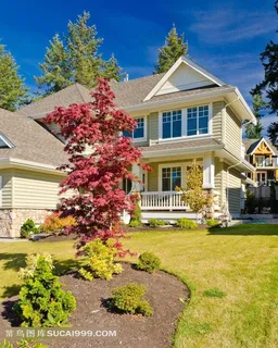 豪华别墅图片摄影