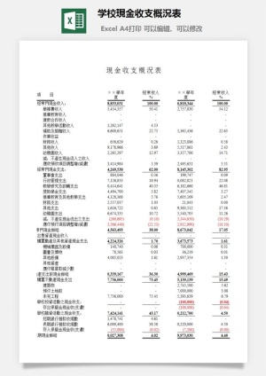 学校現金收支概況表excel模板预览图