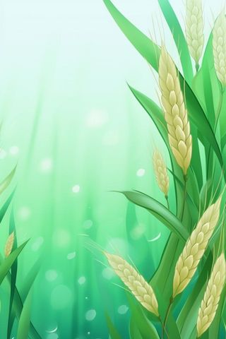 绿色小麦扁平海报