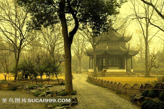 道路亭子和树木