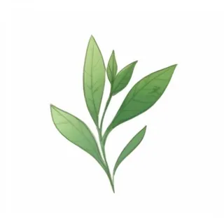 一支绿色的叶子png免抠