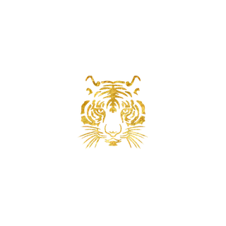 金色虎头老虎免扣PNG素材 拷贝