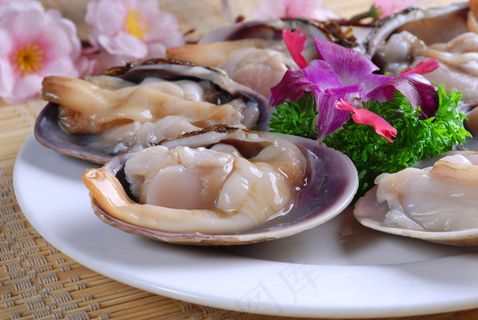 HQ-527天鹅蛋 HQ-527天鹅蛋