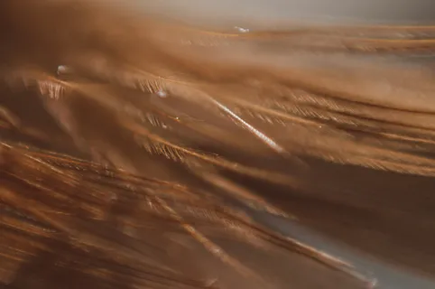 极简轻奢羽毛背景纹理简约高端底纹