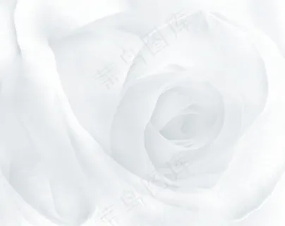 灰白花卉纹理图片 灰白花卉纹理图片