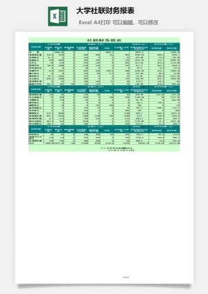 大学社联财务报表excel模板