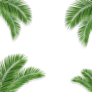 树木树枝树叶免扣素材