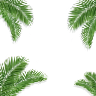 树木树枝树叶免扣素材