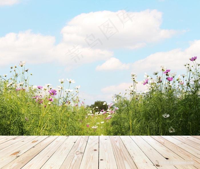 高清木纹花卉空间背景