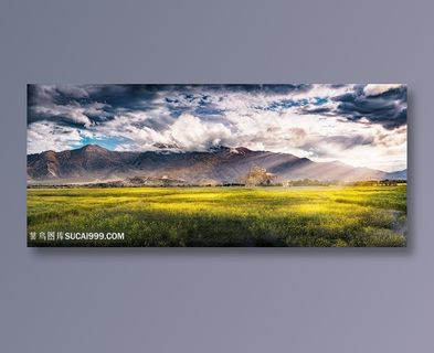 鲜花油菜花海报