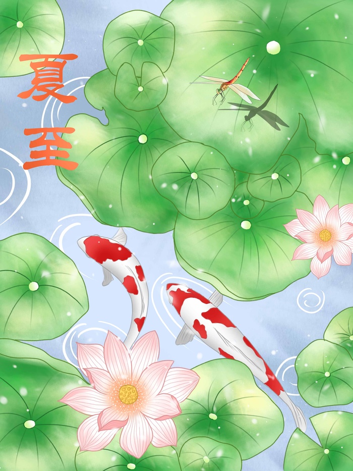 夏至 夏至海报图片