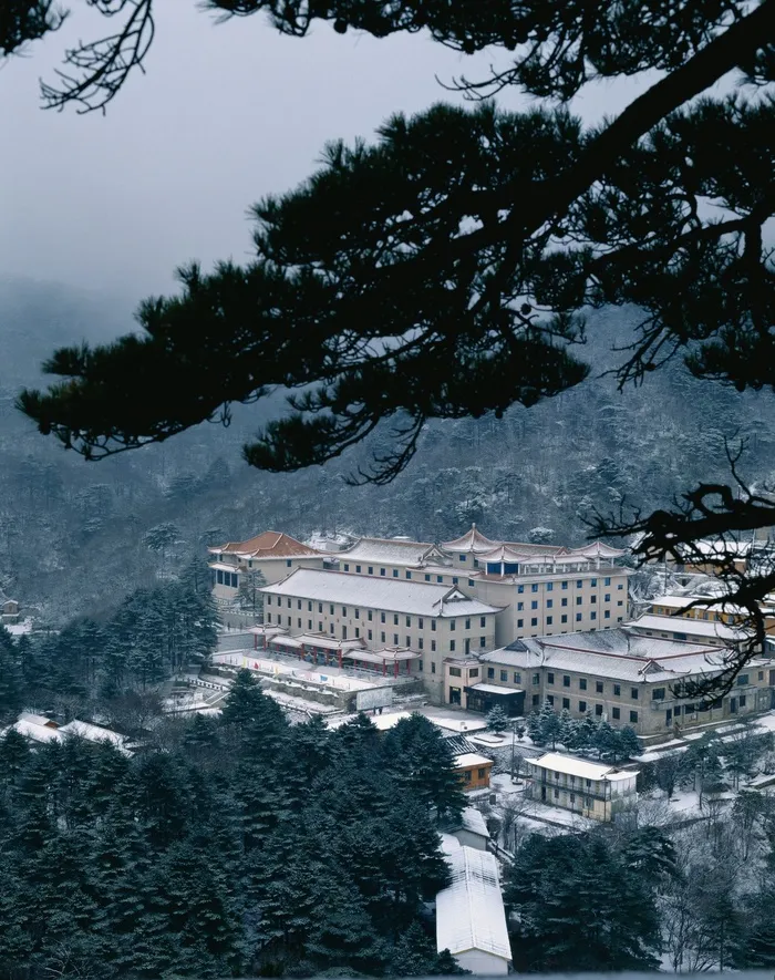黄山奇松图片-第33张