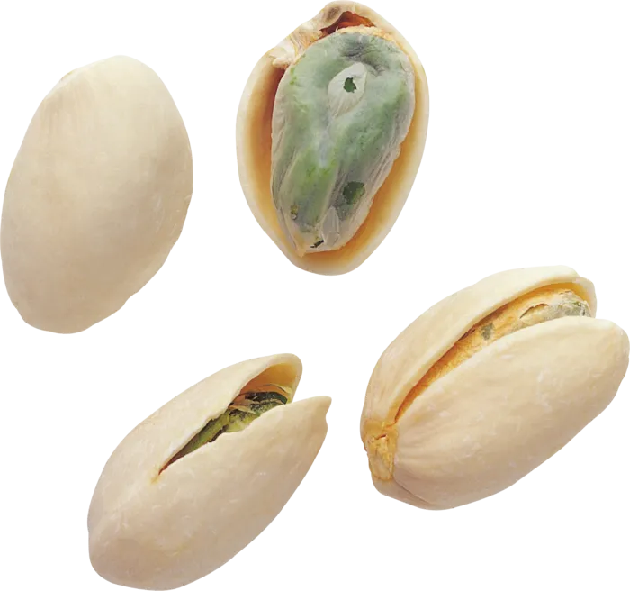 开心果实物免抠