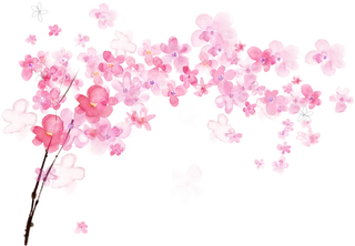 粉色简约风手绘鲜花花朵水墨画PNG素材图片 (10)