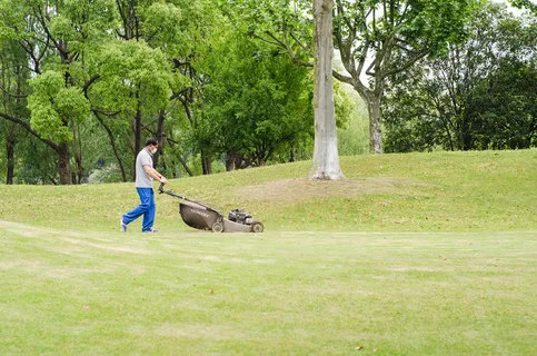 草坪修剪草里绿化