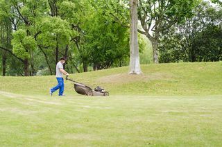 草坪修剪草里绿化