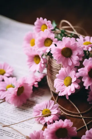 书桌上的粉色雏菊花麻绳摄影图