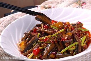 热菜花椒土鳝鱼中华美食摄影图