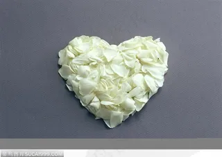 装饰成心形的花瓣