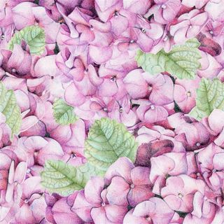 紫色手绘水彩花朵背景高清图片