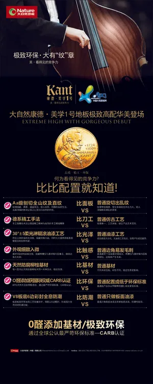 康德极致环保 大自然地板