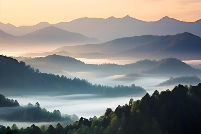 山脉树林高空摄影