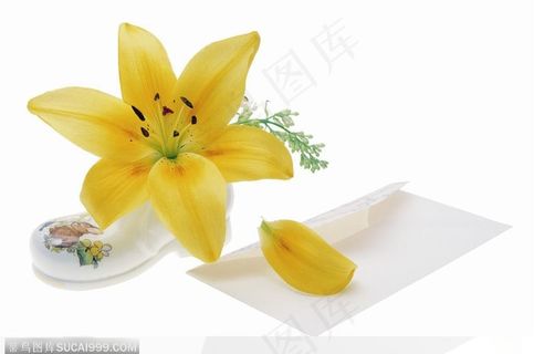 花饰小品-黄色的百合花