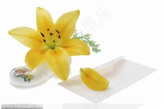 花饰小品-黄色的百合花