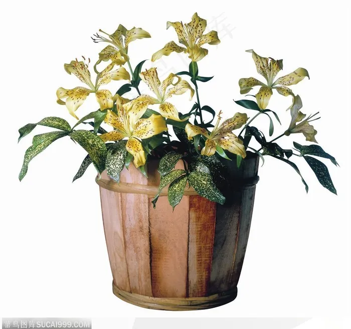 花饰小品-小木桶中的百合花