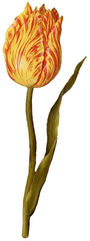 复古油画质感宫廷花卉植物花朵鲜花拼贴图案PNG免抠图片设计素材