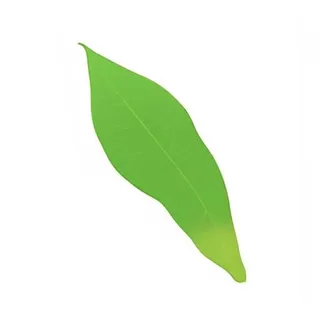 一片绿色叶子png免抠