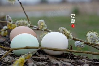夏天立夏斗蛋图片