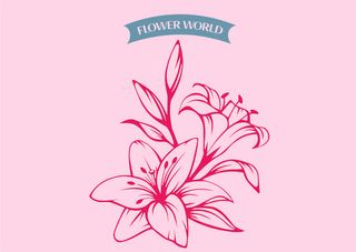 百合花插画