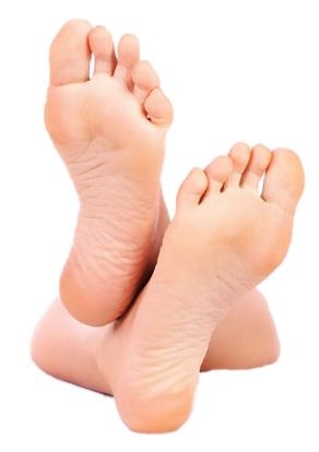 脚 PNG 图像免抠(292x414)