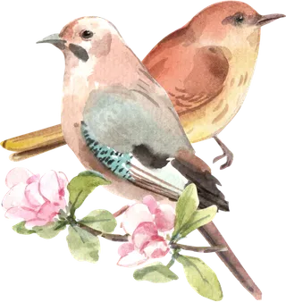 插画春鸟免抠素材