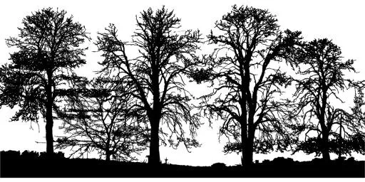 森林 PNG免抠(1280x640)