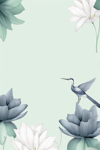 创意简约节气荷花背景