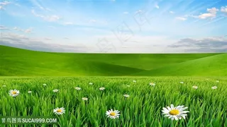 蓝天白云草地风景