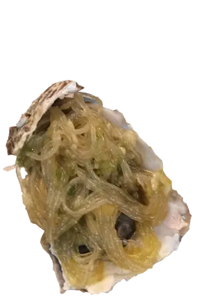 清蒸蒜蓉粉丝生蚝免抠摄影元素