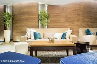 精美客厅装饰装修