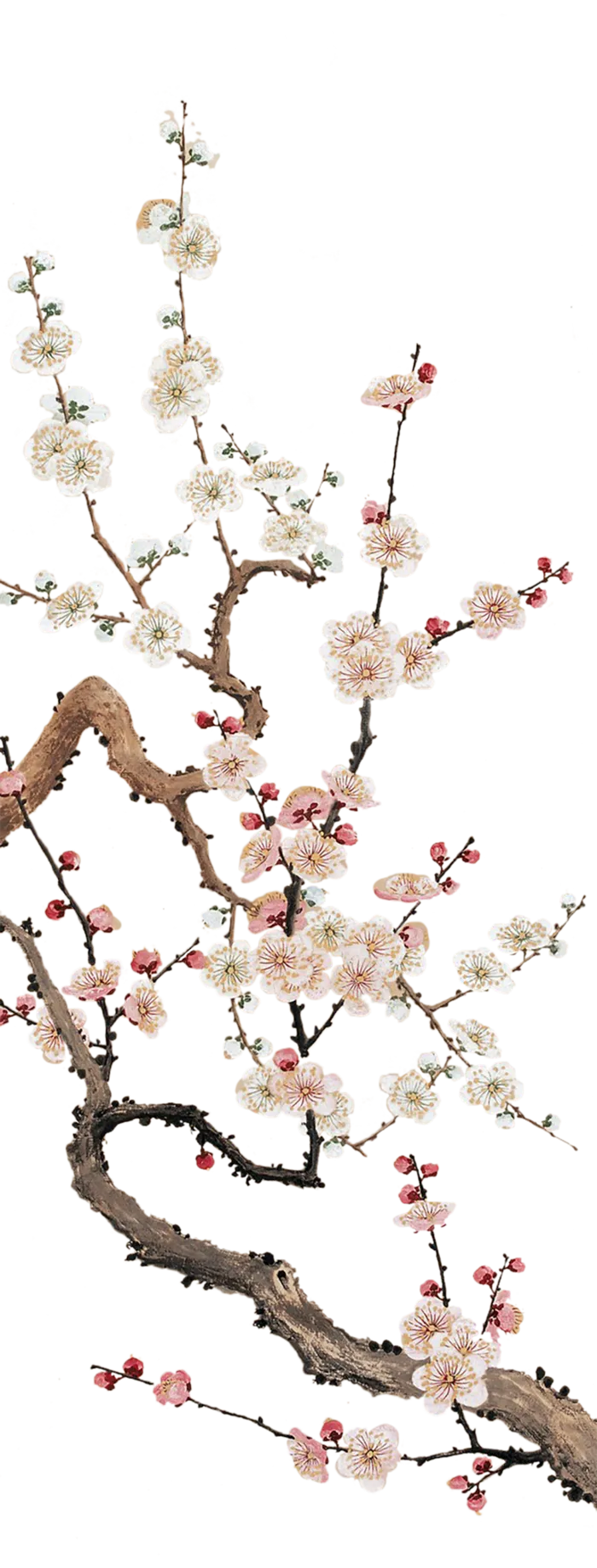 梅花-古风-工笔画-梅花树-梅花鹿-扇子-中国风免扣