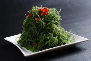 LCSC1817南极冰藻18