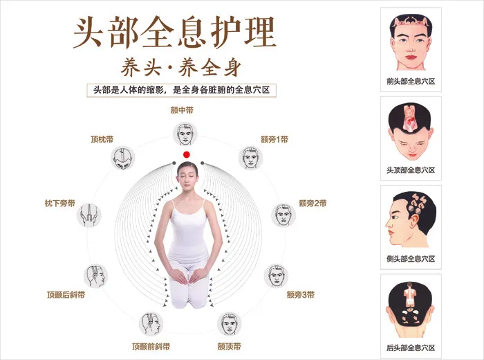 头部全息护理cdr矢量模版下载